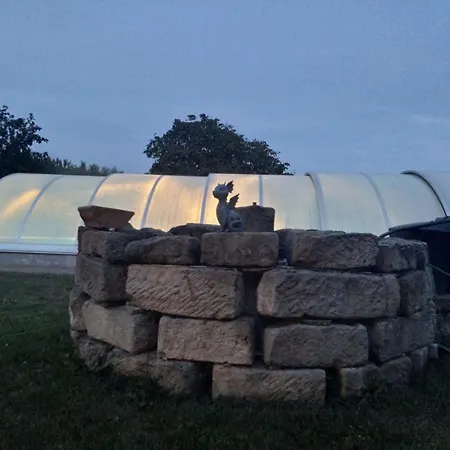 Gaensebluemchen Wartenburg